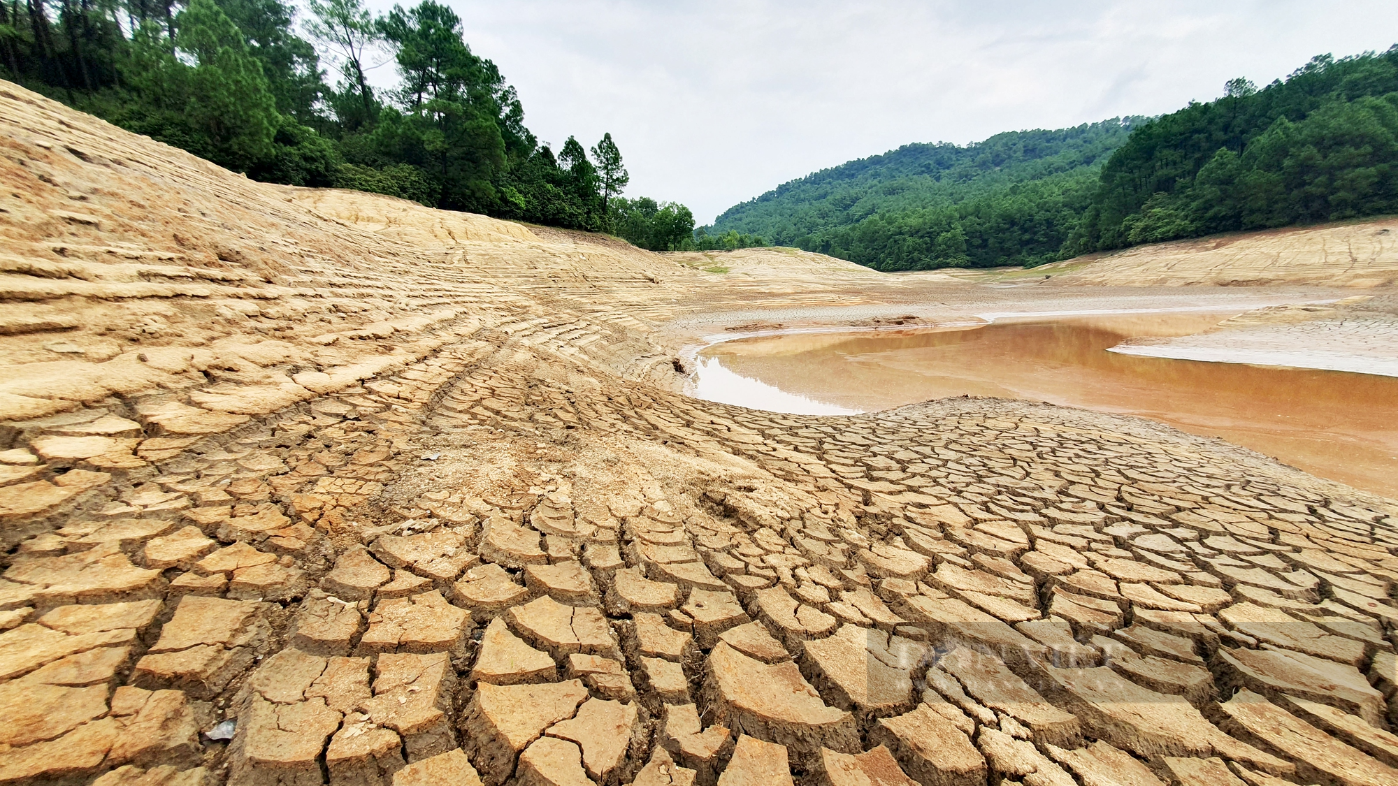Hà Tĩnh: Hồ Thiên Tượng cạn trơ đáy, hơn 1.2 vạn hộ dân nguy cơ thiếu nước sinh hoạt - Ảnh 4.