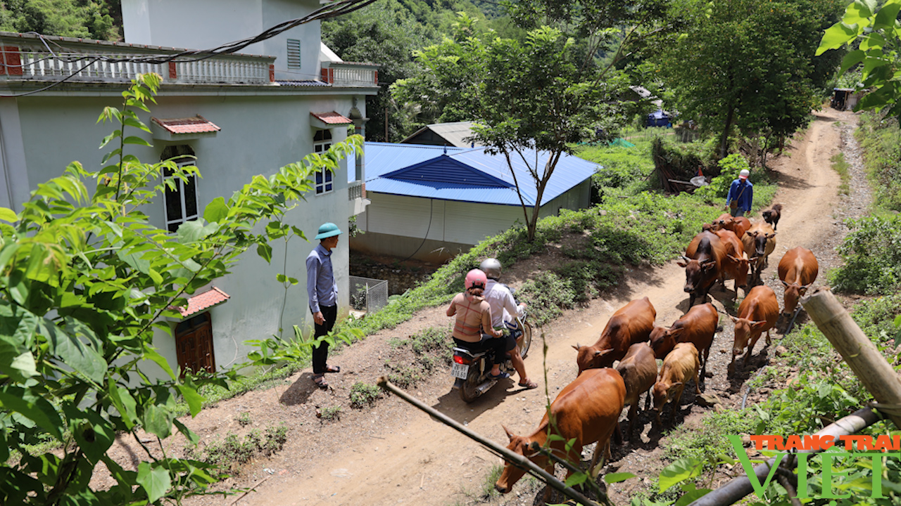 Hiệu quả nguồn Quỹ hỗ trợ nông dân ở huyện vùng cao Bắc Yên - Ảnh 2.