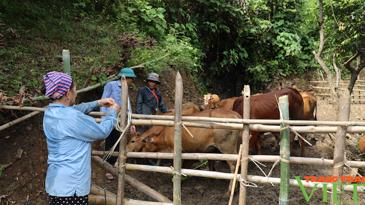 Hiệu quả nguồn Quỹ hỗ trợ nông dân ở huyện vùng cao Bắc Yên - Ảnh 3.