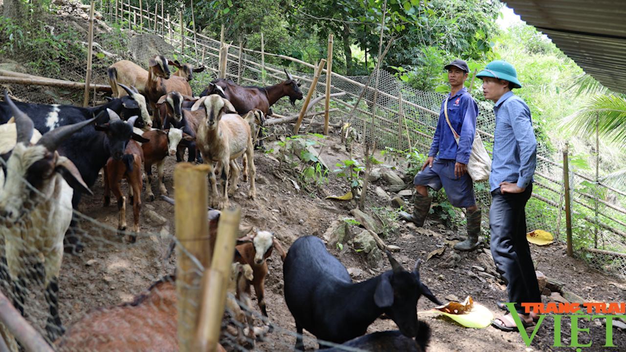 Hiệu quả nguồn Quỹ hỗ trợ nông dân ở huyện vùng cao Bắc Yên - Ảnh 4.