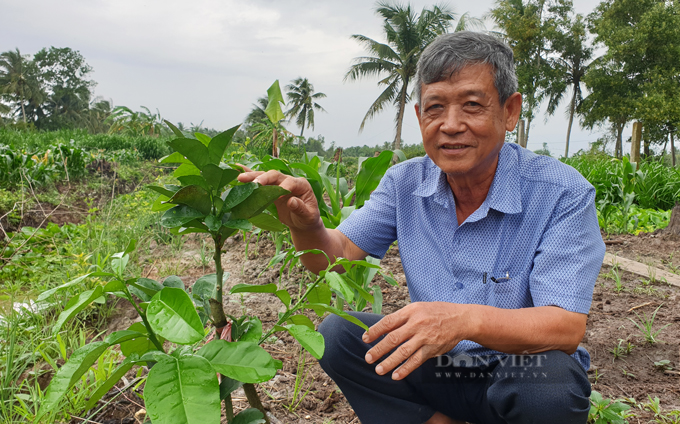 Nhiều nông dân Trà Vinh nuôi tôm, trồng lúa và cây ăn trái thu nhập trên 1 tỷ đồng/năm - Ảnh 2.