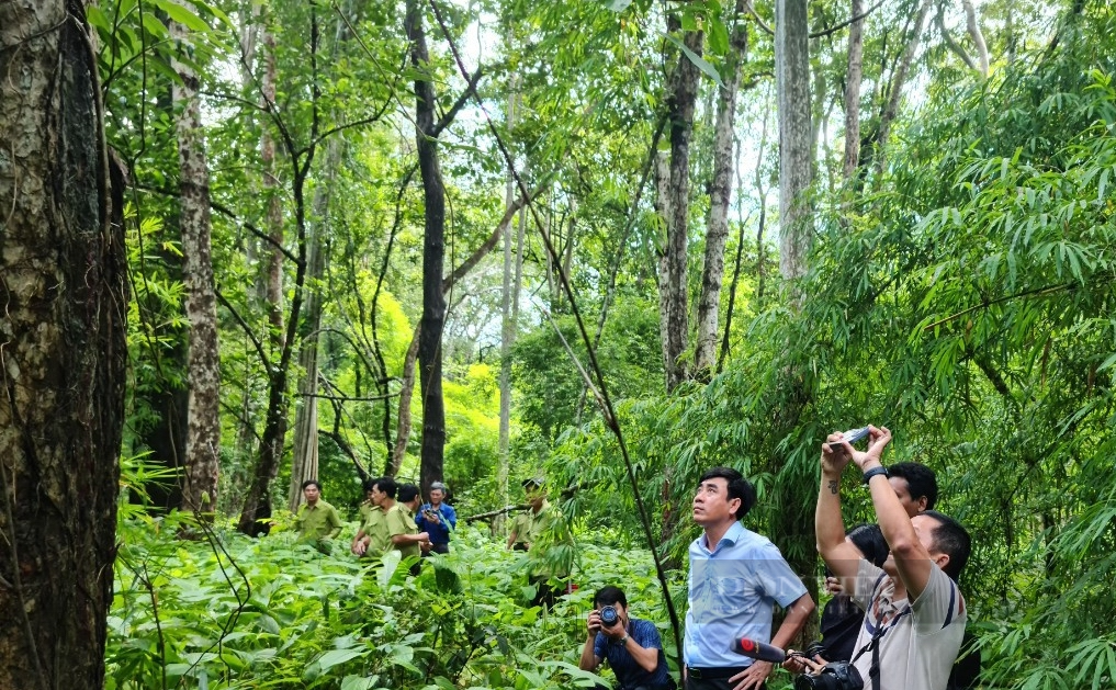 Bình Thuận họp báo cung cấp thông tin liên quan đến Dự án hồ Pa Két - Ảnh 1.