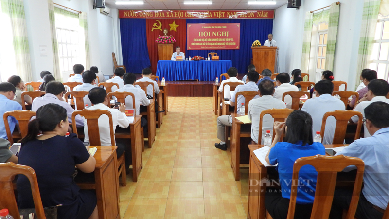 Hội nghị Sơ kết 5 năm thực hiện chính sách khuyến khích phát triển hợp tác, liên kết trong sản xuất và tiêu thụ sản phẩm nông nghiệp trên địa bàn tỉnh Bình Phước. Ảnh: Trần Khánh