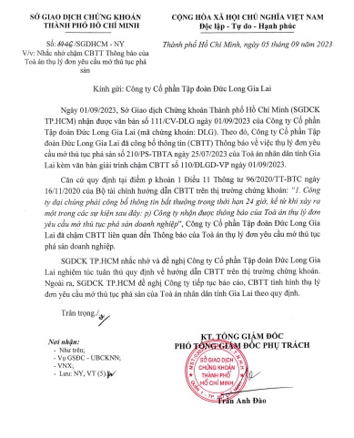 Chậm công bố thông tin về &quot;yêu cầu mở thủ tục phá sản&quot;, Đức Long Gia Lai đổ cho trưởng bộ phận pháp chế - Ảnh 2.