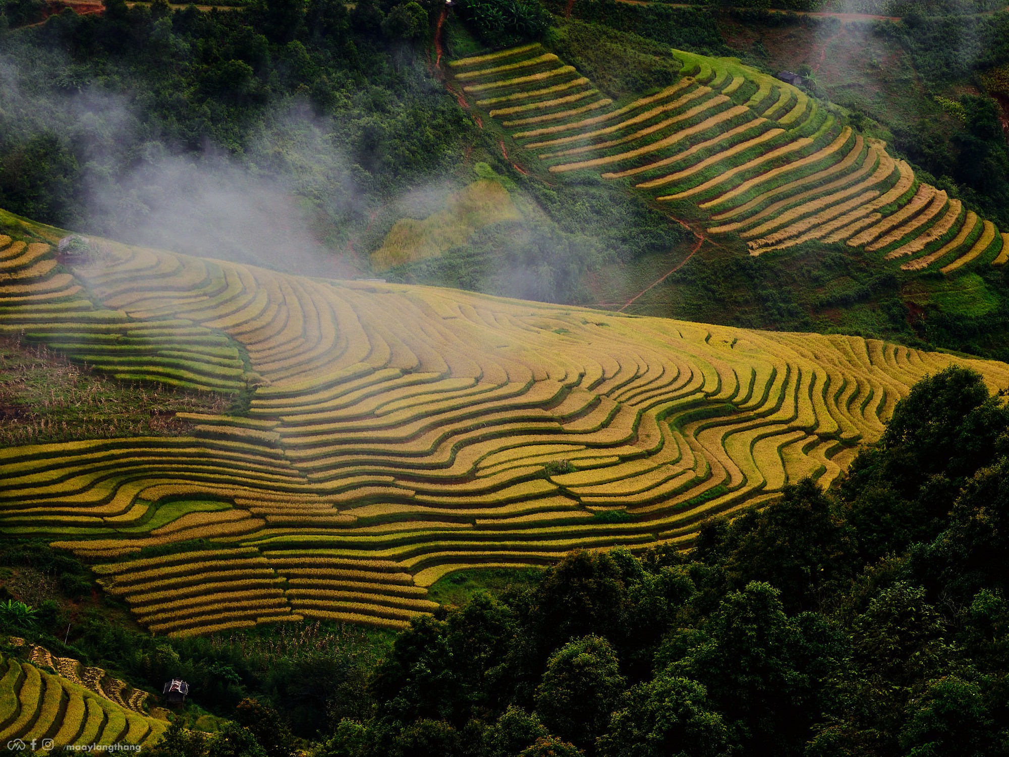 Không phải Mù Cang Chải, Hoàng Su Phì, 