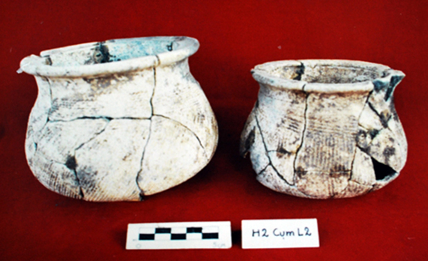 Một gò đất ở vùng Đồng Tháp Mười của Long An đào khảo cổ thấy nhiều hiện vật cổ xưa quý hiếm - Ảnh 2.