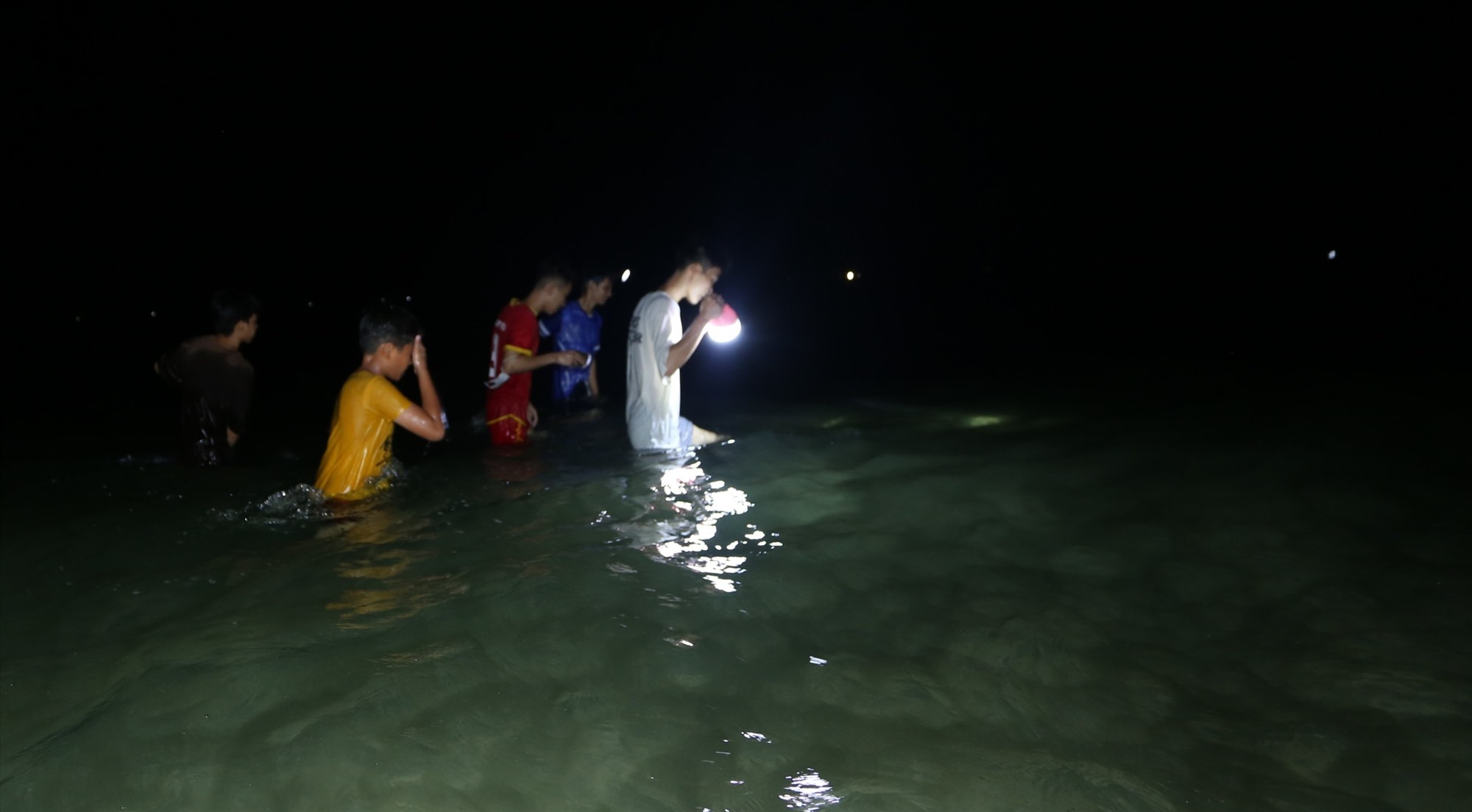 Đổ xô rọi đèn pin xuống một vùng biển ở Quảng Nam bắt con vật cầm lên nó cuốn tay nhồn nhột - Ảnh 3.