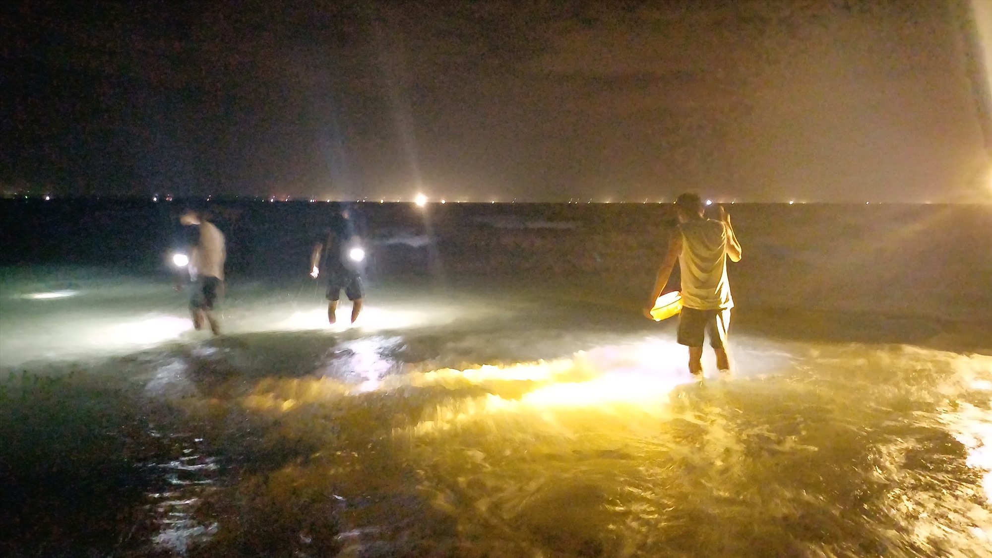 Đổ xô rọi đèn pin xuống một vùng biển ở Quảng Nam bắt con vật cầm lên nó cuốn tay nhồn nhột - Ảnh 1.