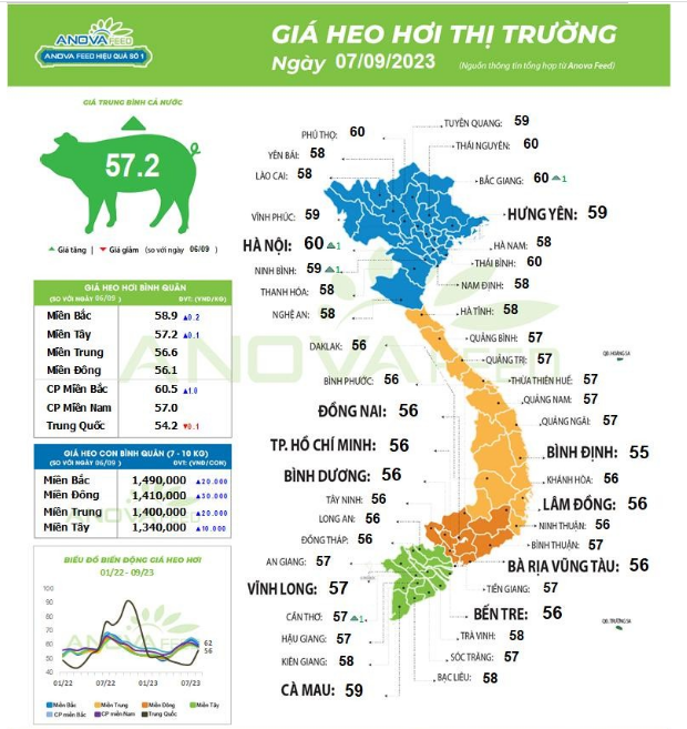 Giá lợn hơi lấy lại mốc 60.000 đồng/kg, xuất khẩu thịt và sản phẩm thịt khởi sắc - Ảnh 1.