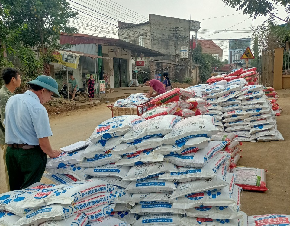 Hiệu quả từ cung ứng phân bón NPK trả chậm cho nông dân huyện miền núi Phú Thọ - Ảnh 1.