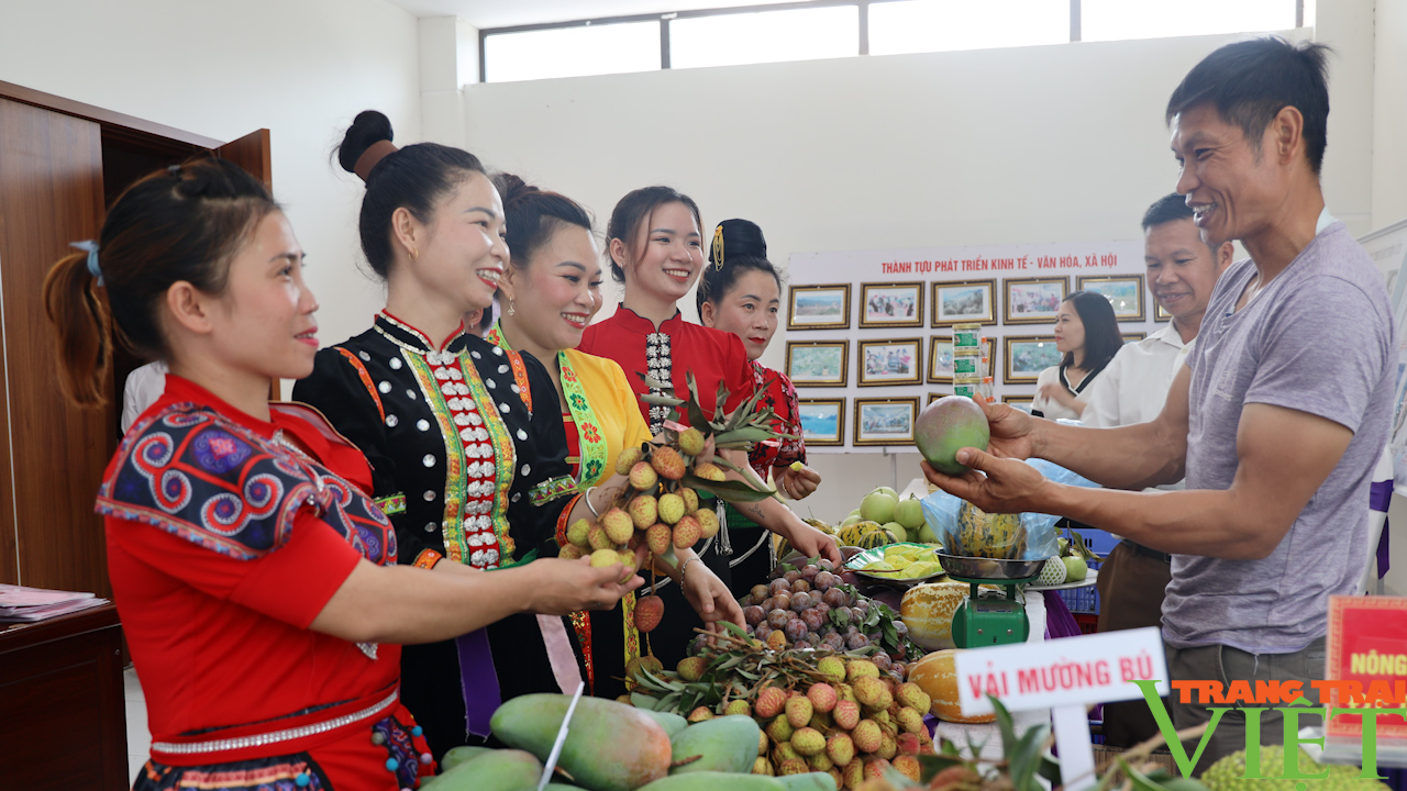 Sơn La: Phát triển sản phẩm OCOP chất lượng, bền vững - Ảnh 4.