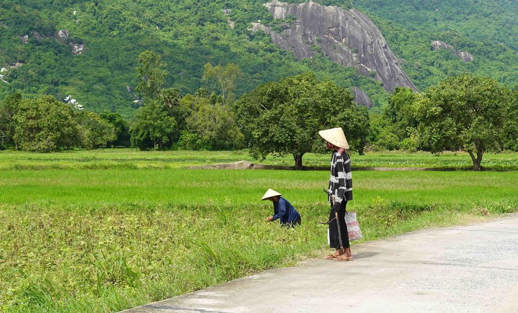 Cung đường bê-tông nông thôn đẹp như phim, view đang hot nhất ở An Giang, ai đi Bảy Núi ráng ghé một lần - Ảnh 9.