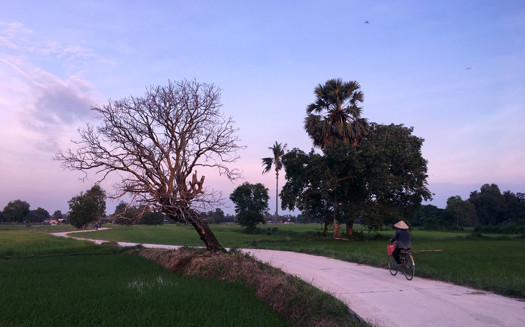 Cung đường bê-tông nông thôn đẹp như phim, view đang hot nhất ở An Giang, ai đi Bảy Núi ráng ghé một lần - Ảnh 16.