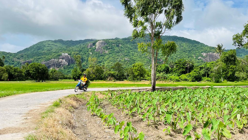 Cung đường bê-tông nông thôn đẹp như phim, view đang hot nhất ở An Giang, ai đi Bảy Núi ráng ghé một lần - Ảnh 1.