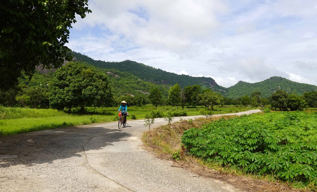 Cung đường bê-tông nông thôn đẹp như phim, view đang hot nhất ở An Giang, ai đi Bảy Núi ráng ghé một lần - Ảnh 8.