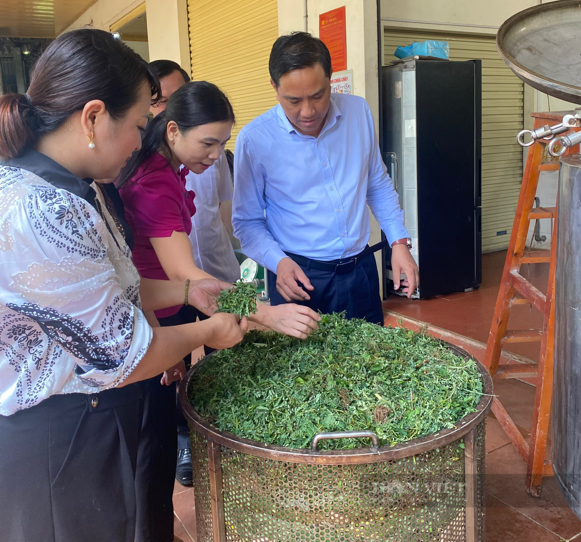 Giám đốc HTX dân tộc Giáy đưa bài thuốc gia truyền ở Lào Cai phục vụ sức khỏe cộng đồng - Ảnh 2.
