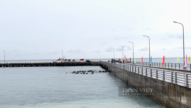 Quảng Ngãi lộ diện đơn vị trúng thầu thi công đê chắn sóng 250 tỷ cho cảng Bến Đình - Ảnh 5.