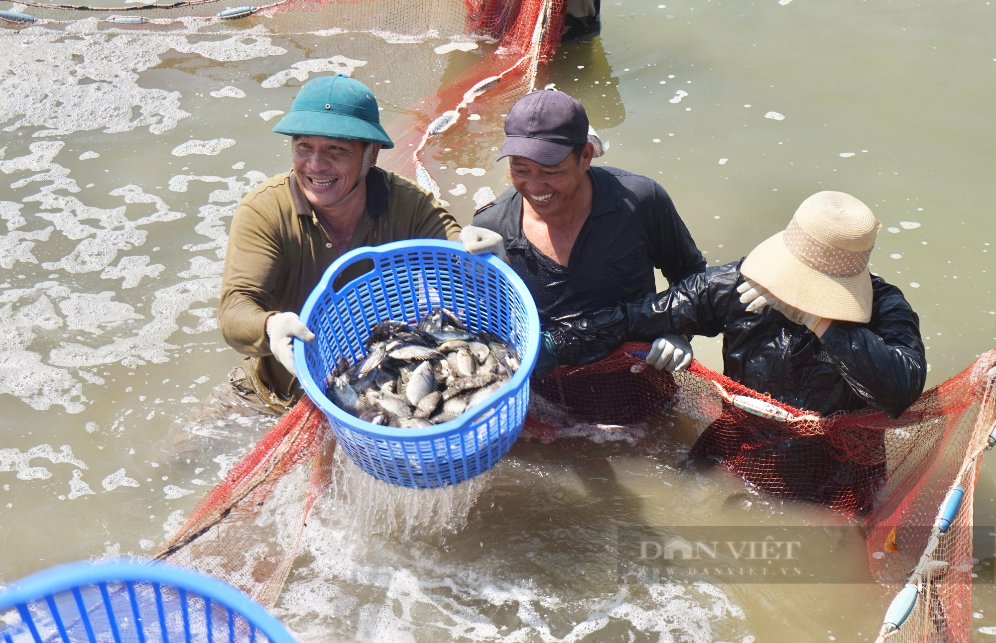 Qũy Hỗ trợ nông dân TP.Đà Nẵng tiếp sức cho nhà nông làm giàu - Ảnh 3.