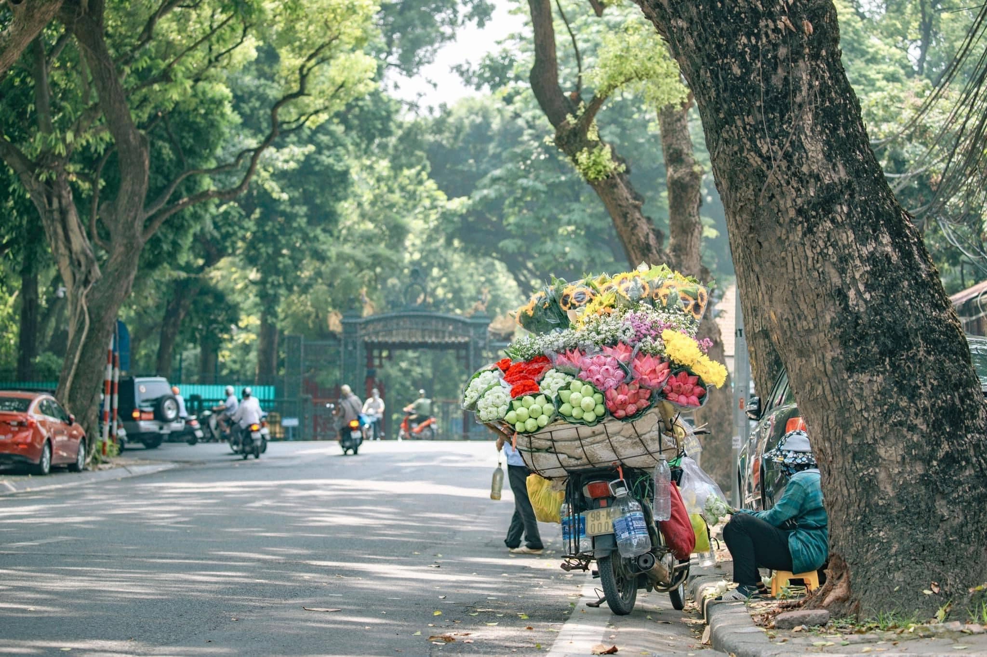 Ký ức Hà Nội: Ở xứ Hàn nhớ về mùa thu tươi đẹp ở Thủ đô - Ảnh 1.