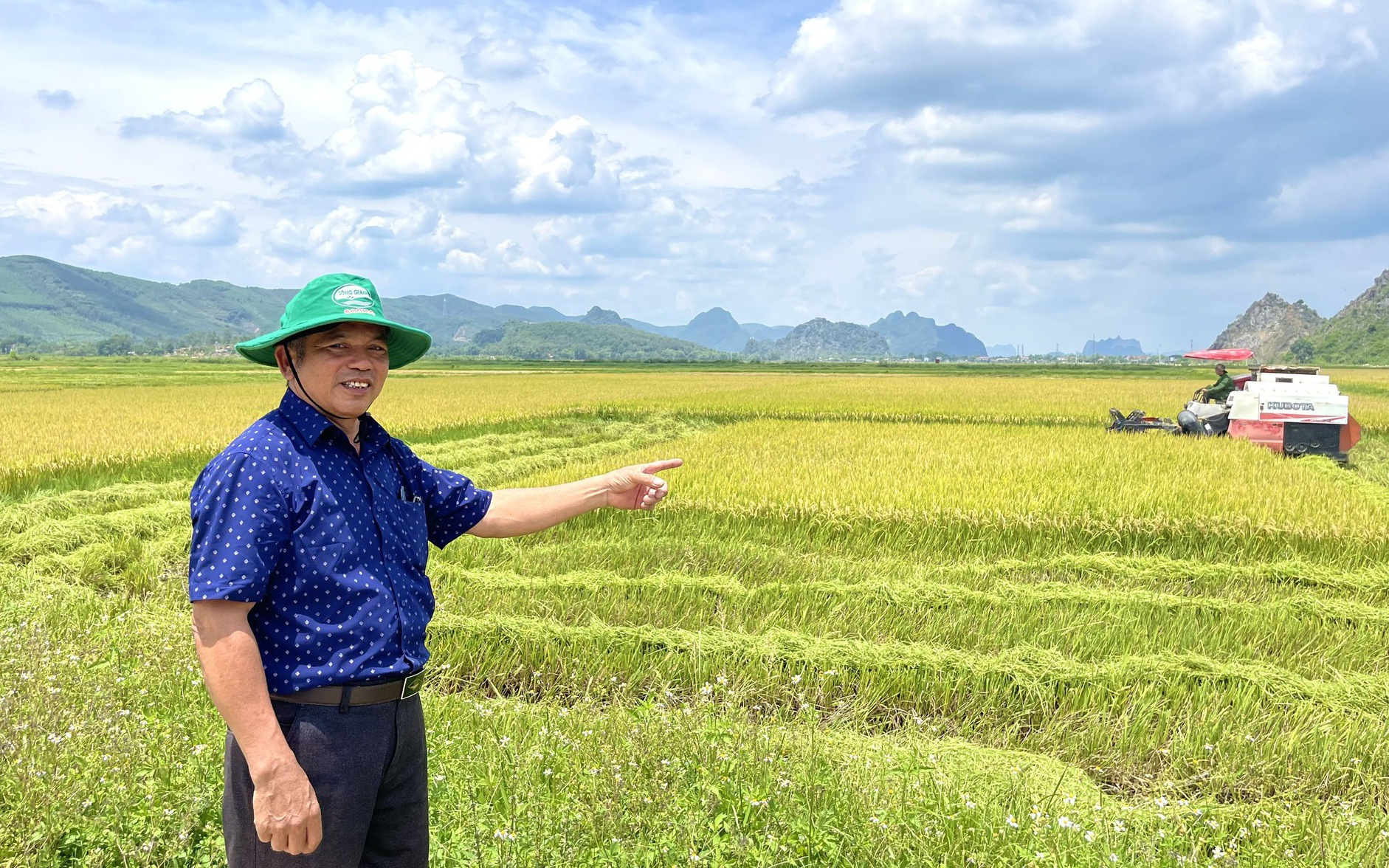 Nông dân Quảng Bình phấn khởi ra đồng gặt lúa hè - thu năng suất cao, còn được công ty thu mua ngay tại ruộng