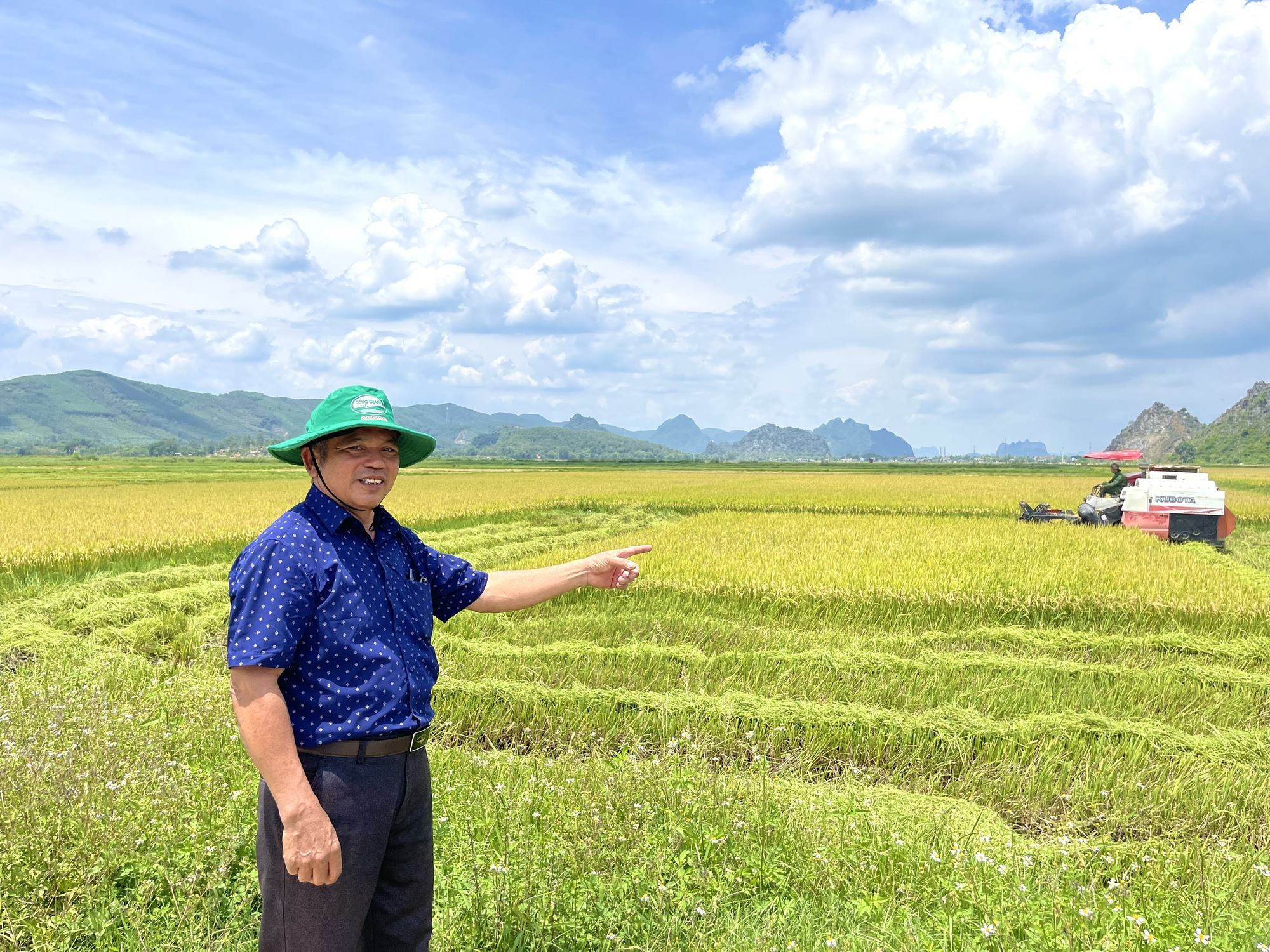 Nông dân Quảng Bình phấn khởi ra đồng gặt lúa hè - thu năng suất cao, còn được công ty thu mua ngay tại ruộng - Ảnh 1.