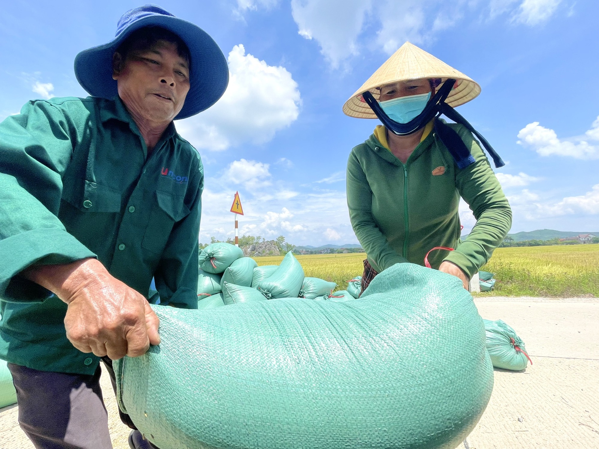 Nông dân Quảng Bình phấn khởi ra đồng gặt lúa hè - thu năng suất cao, còn được công ty thu mua ngay tại ruộng - Ảnh 2.