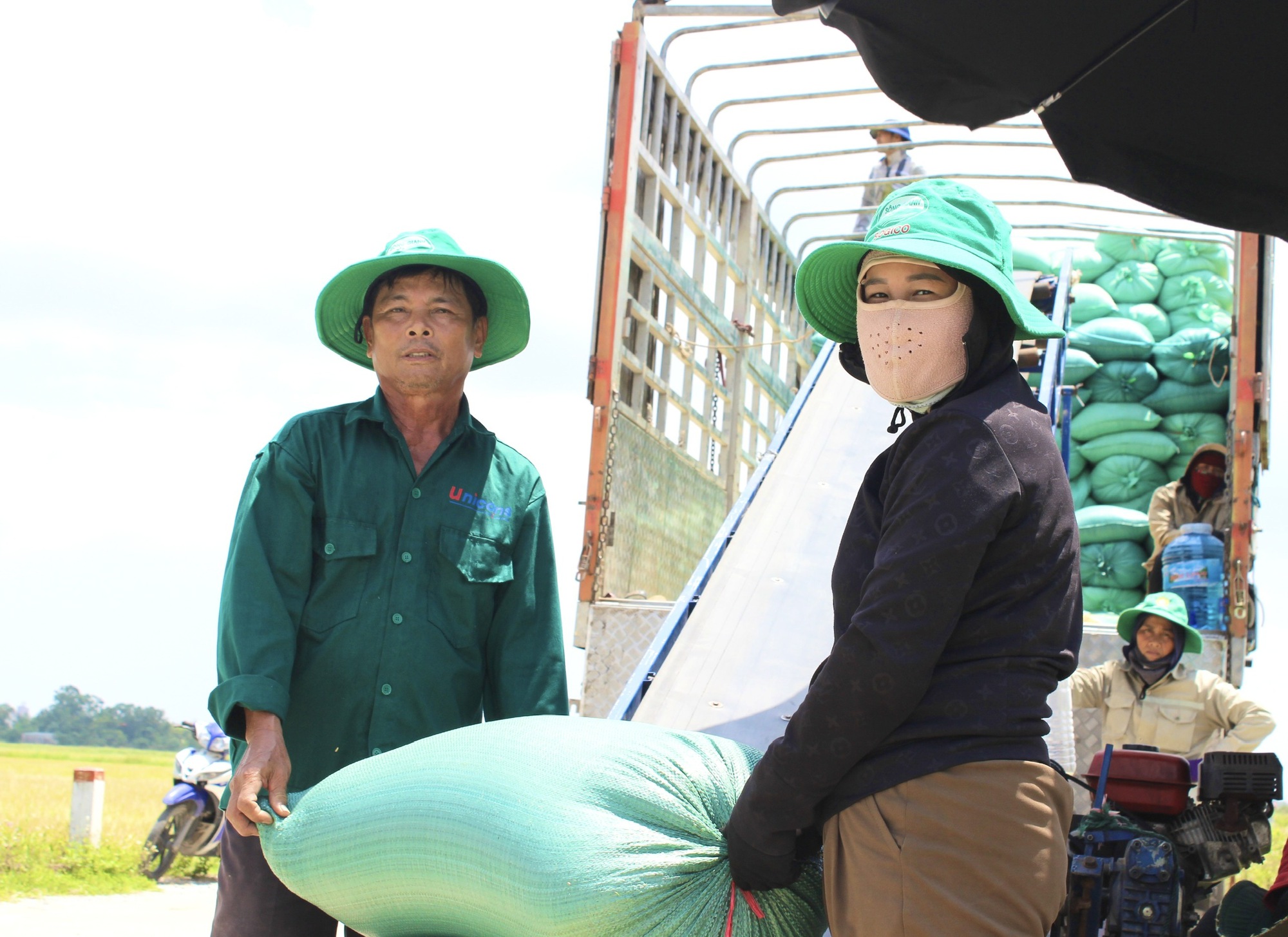 Nông dân Quảng Bình phấn khởi ra đồng gặt lúa hè - thu năng suất cao, còn được công ty thu mua ngay tại ruộng - Ảnh 3.