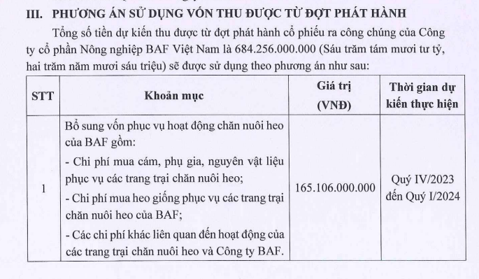 Vừa tăng vay nợ, BaF Việt Nam tiếp tục muốn huy động 684,3 tỷ đồng để làm gì? - Ảnh 2.