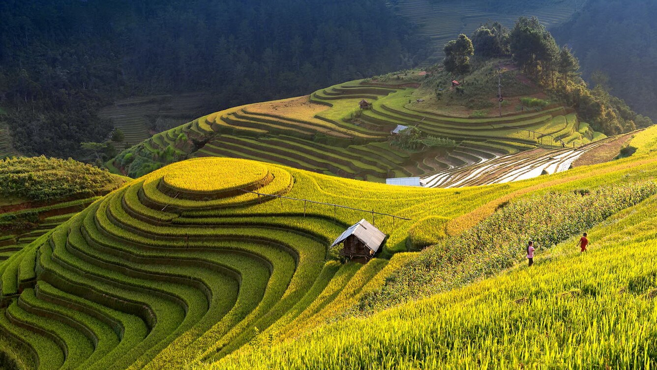 Tour ngắm đồng lúa chín, mùa thu Hà Nội giá siêu ưu đãi đang chờ người dân TP.HCM - Ảnh 2.