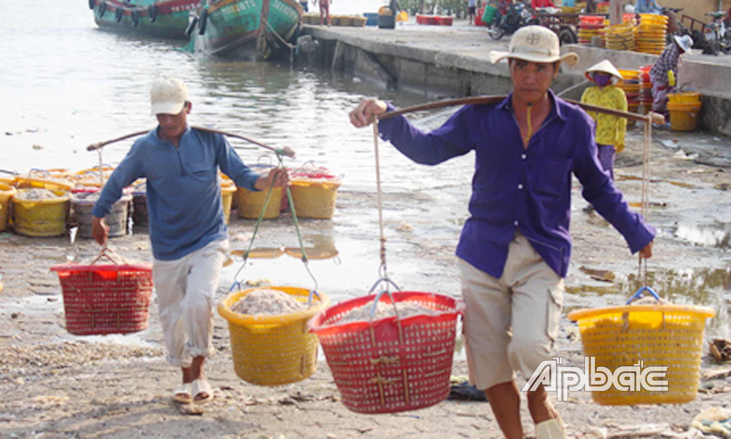 Vùng biển này ở Tiền Giang, đến nơi thấy gánh tấp nập một con vật như que tăm, làm ra vô số món đặc sản - Ảnh 1.