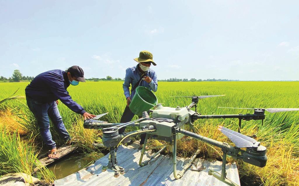 "Phi công bay" trên cánh đồng mênh mông Tứ giác Long Xuyên-nghề đang hot ở An Giang, ai xem cũng trầm 