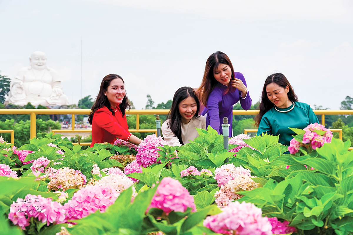 Lên đỉnh một ngọn núi nổi tiếng An Giang, tự dưng thấy lạnh, bất ngờ hoa nở không kịp cản, ngỡ như Đà Lạt - Ảnh 1.