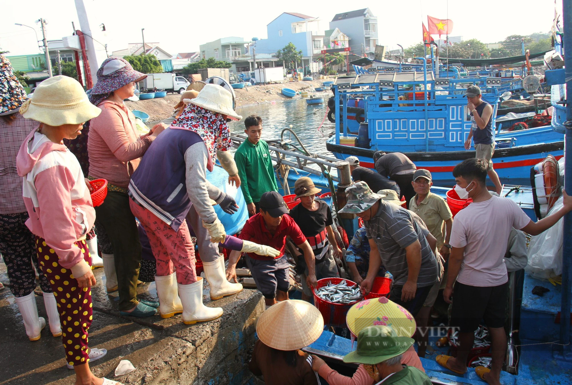Cảng cá Ninh Thuận nhộn nhịp hoạt động hết công xuất ngày đầu năm mới 2024 - Ảnh 4.
