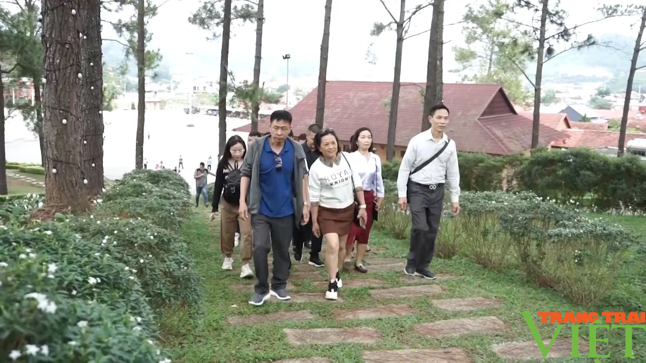 Hàng nghìn lượt khách đổ về Mộc Châu trong kỳ nghỉ Tết Dương lịch  - Ảnh 6.