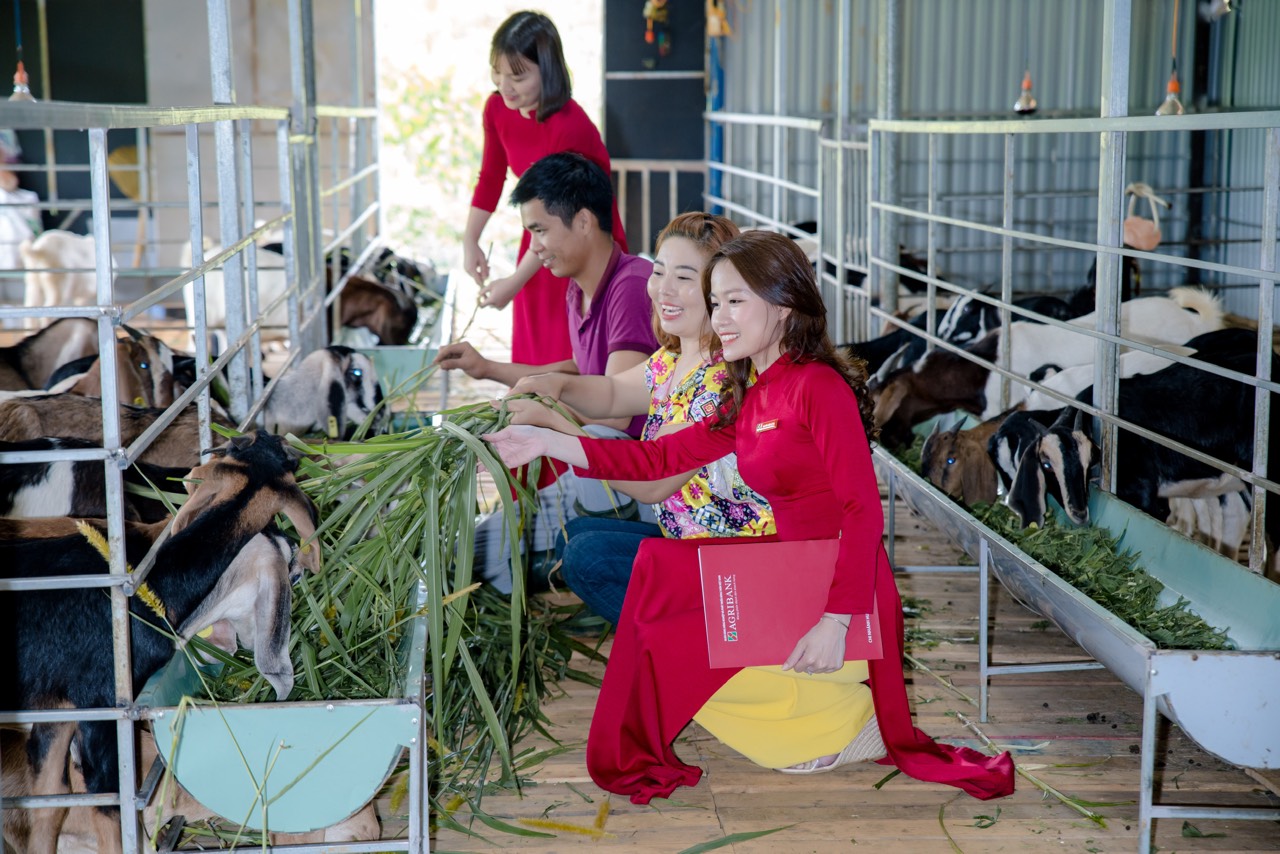 Vốn Agribank - nguồn lực quan trọng tạo nên sức sống mới cho người dân Quảng Nam - Ảnh 3.