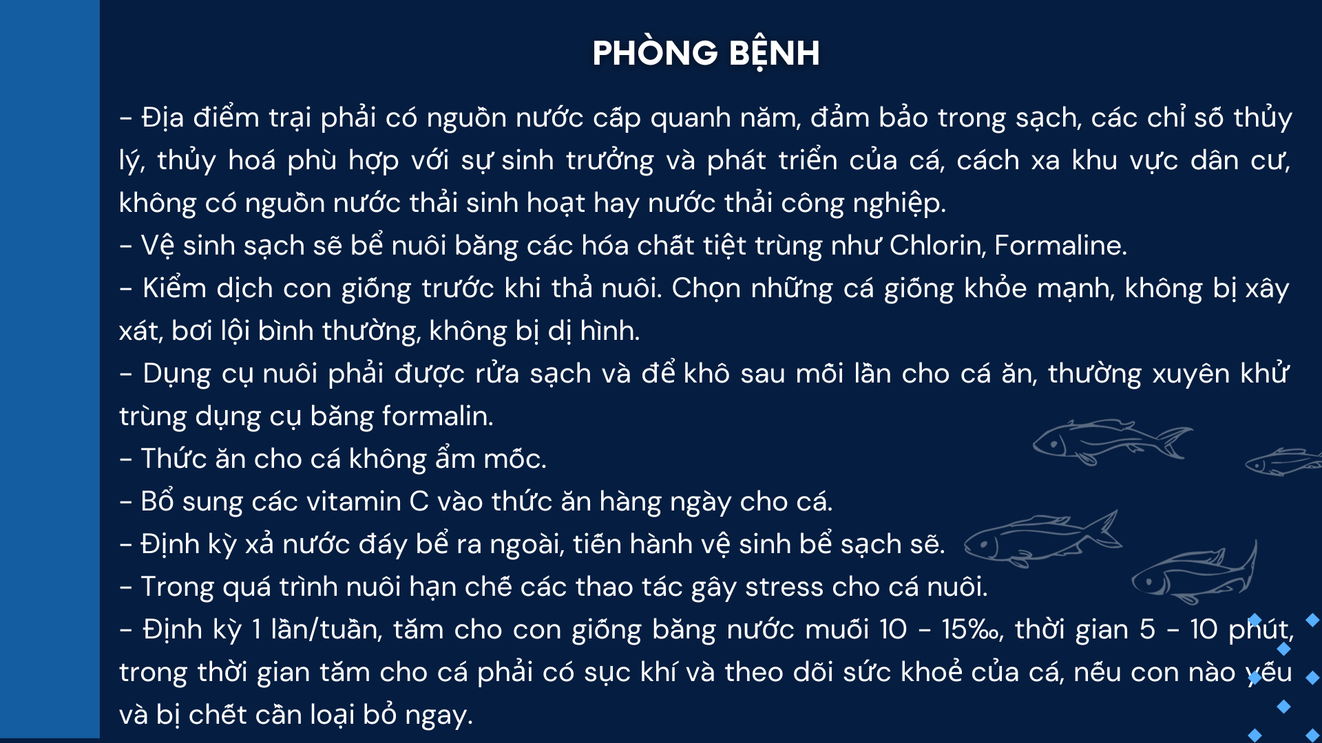 SỔ TAY NHÀ NÔNG: Một số bệnh do vi khuẩn Furunculosis gây ra trên cá tầm và cách phòng trị- Ảnh 1.