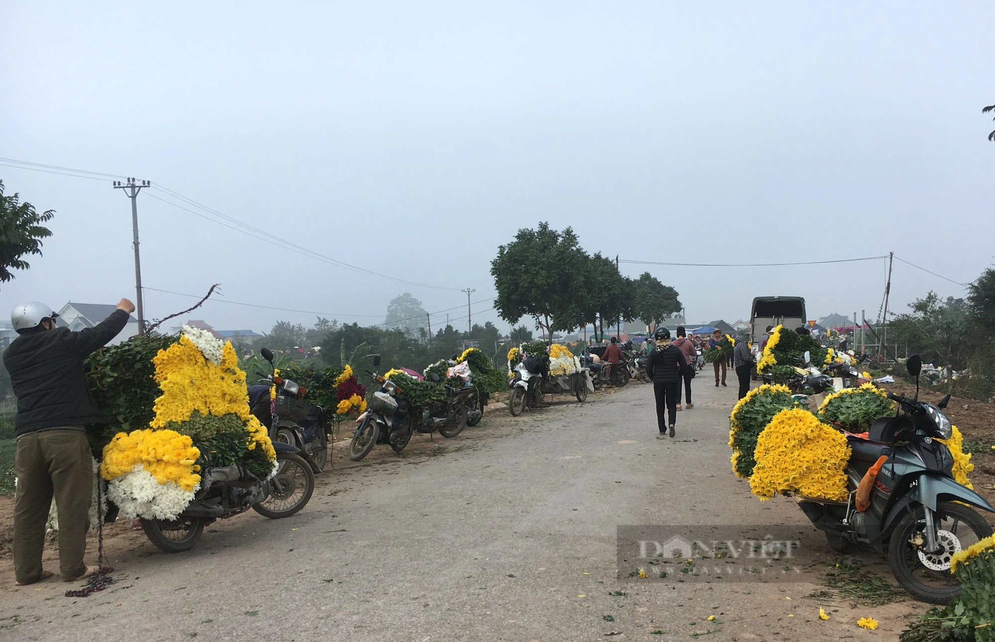 Làng trồng hoa lớn nhất tỉnh Nam Định tất bật vào vụ, thương lái khắp nơi kéo đến mua- Ảnh 1.