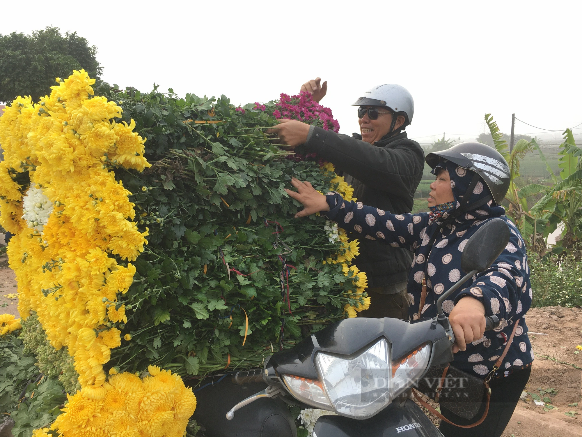 Làng trồng hoa lớn nhất tỉnh Nam Định tất bật vào vụ, thương lái khắp nơi kéo đến mua- Ảnh 2.
