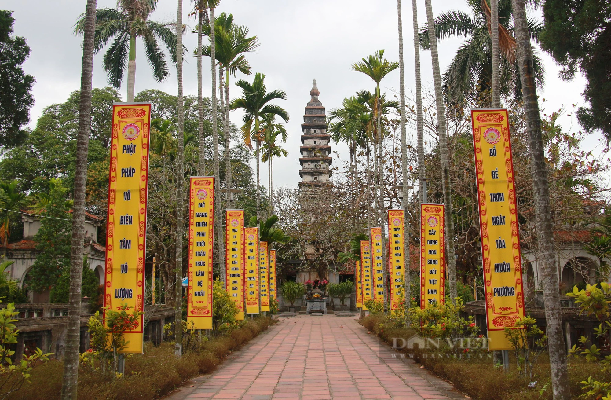 Bốn cây cổ thụ hàng trăm năm tuổi ở chùa Phổ Minh của Nam Định vẫn xanh tươi bốn mùa- Ảnh 10.