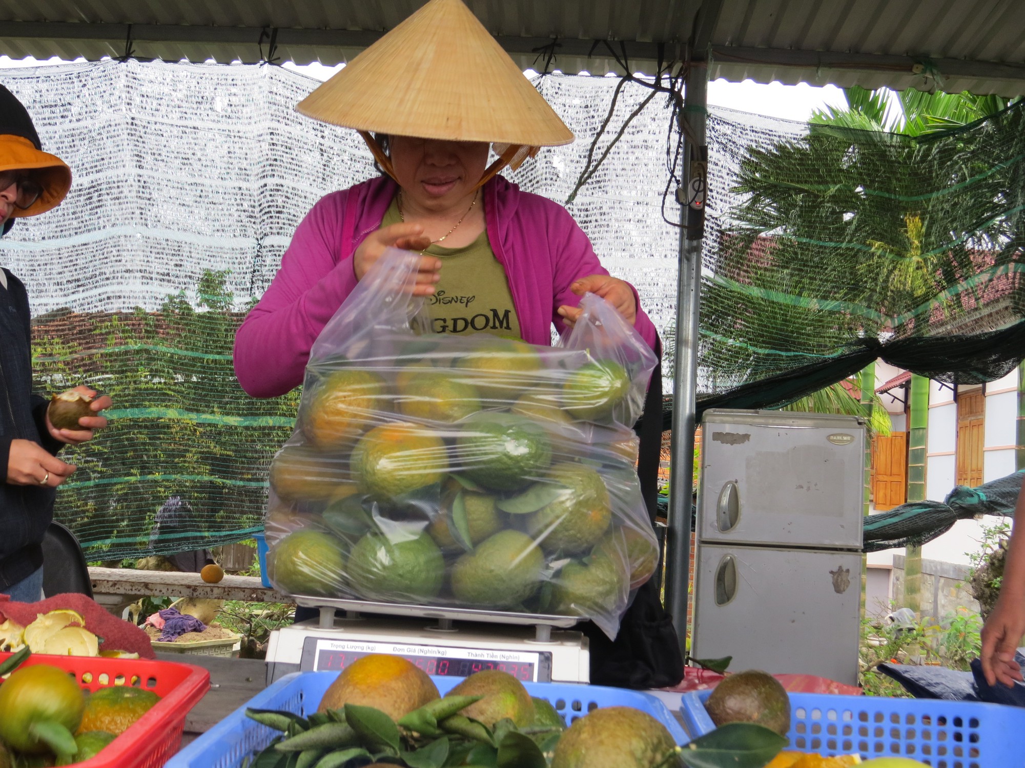 Hội Nông dân Phú Yên tổng kết công tác Hội và phong trào nông dân năm 2023- Ảnh 2.