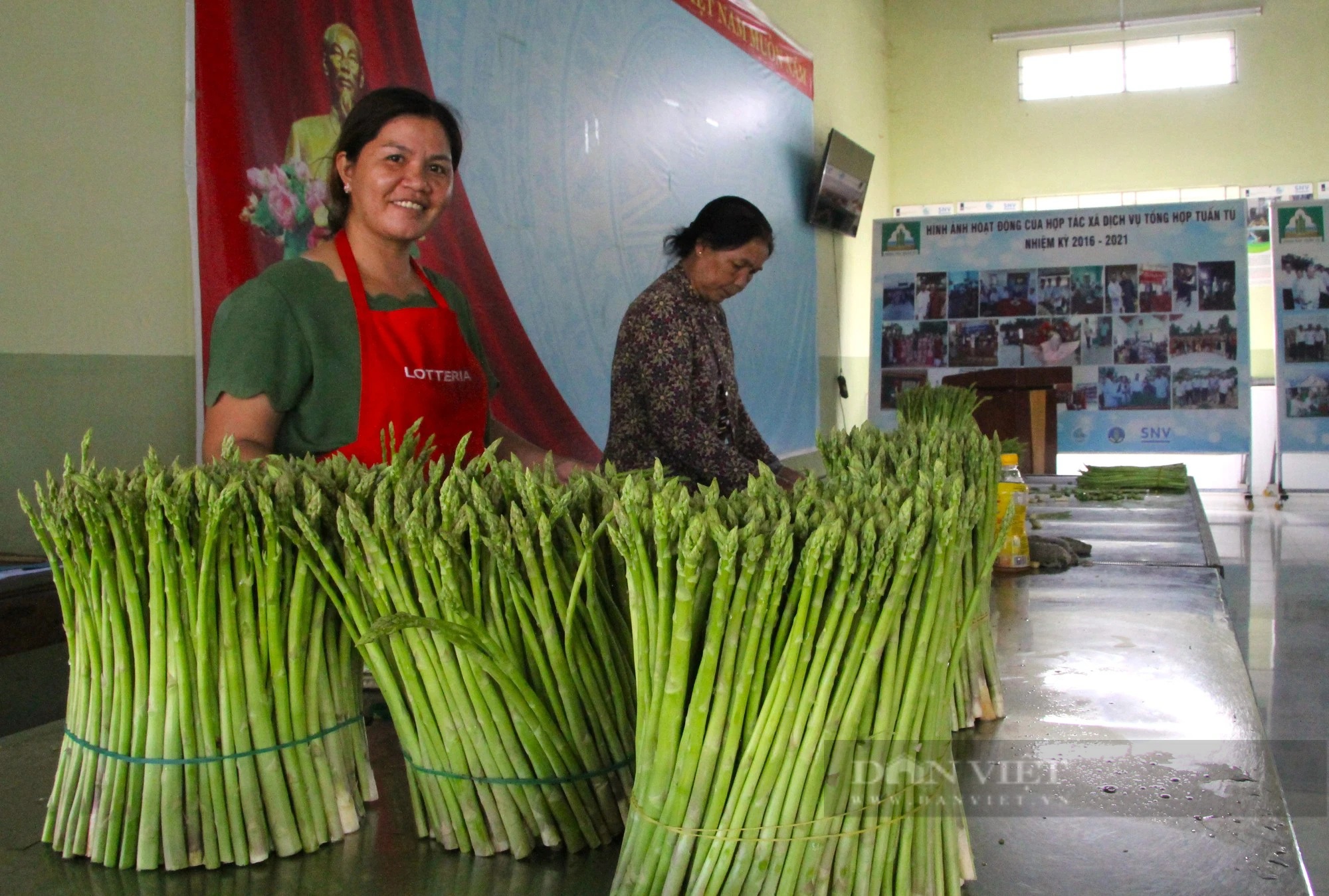 Vùng trồng rau lớn nhất Ninh Thuận tất bật chuẩn bị rau củ phục vụ Tết- Ảnh 4.