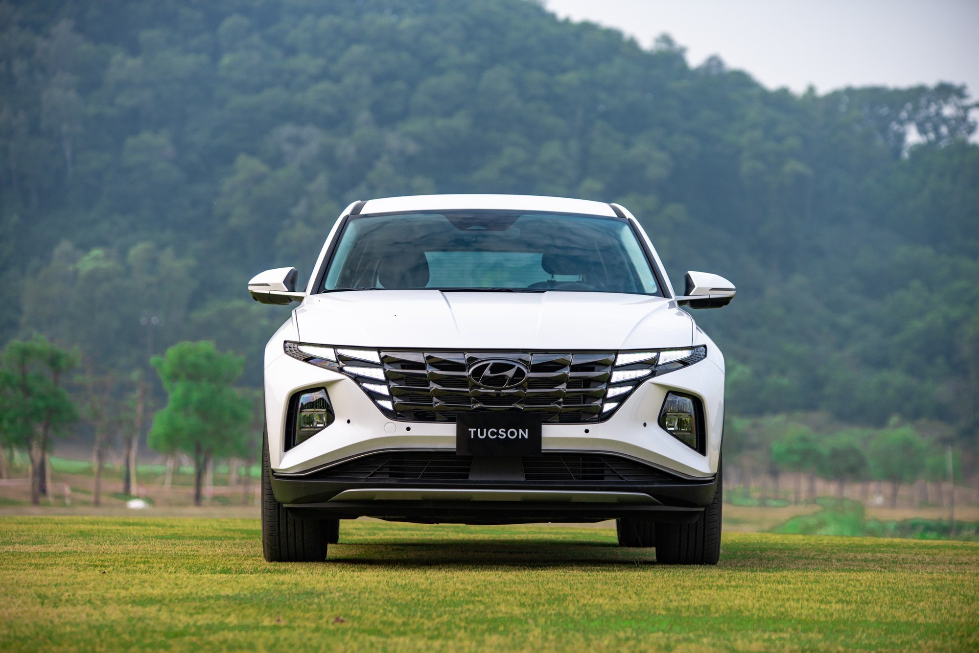 Hyundai dẫn đầu thị phần xe Ô tô trong năm 2023 tại Đắk Lắk- Ảnh 2.