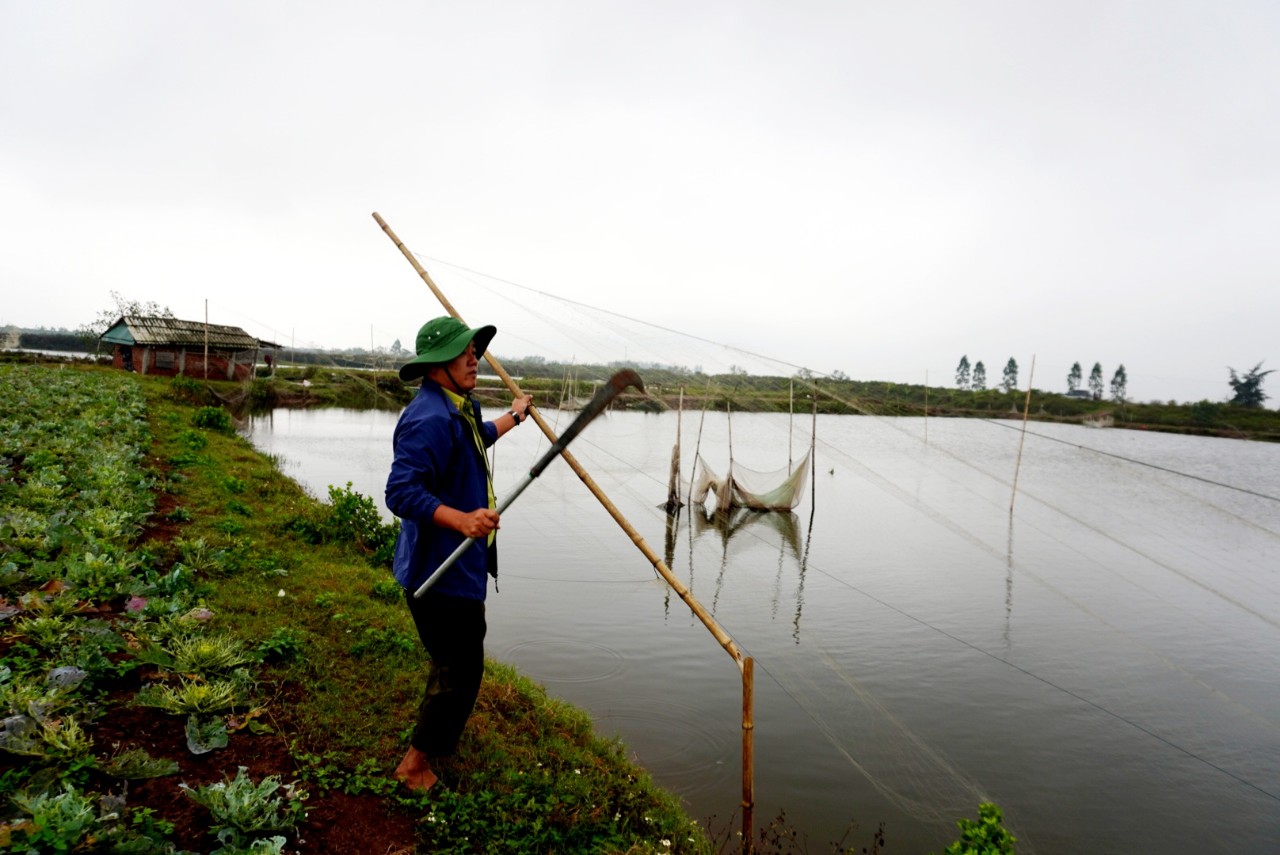Ninh Bình: Tháo gỡ gần 2.600 mét lưới dùng bẫy chim hoang dã- Ảnh 1.