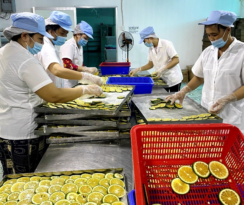 Ớt, gừng, rau răm, cà na, khoai lang...ở Tiền Giang xuất khẩu sang Âu, Mỹ phục vụ thị trường Tết Giáp Thìn- Ảnh 3.