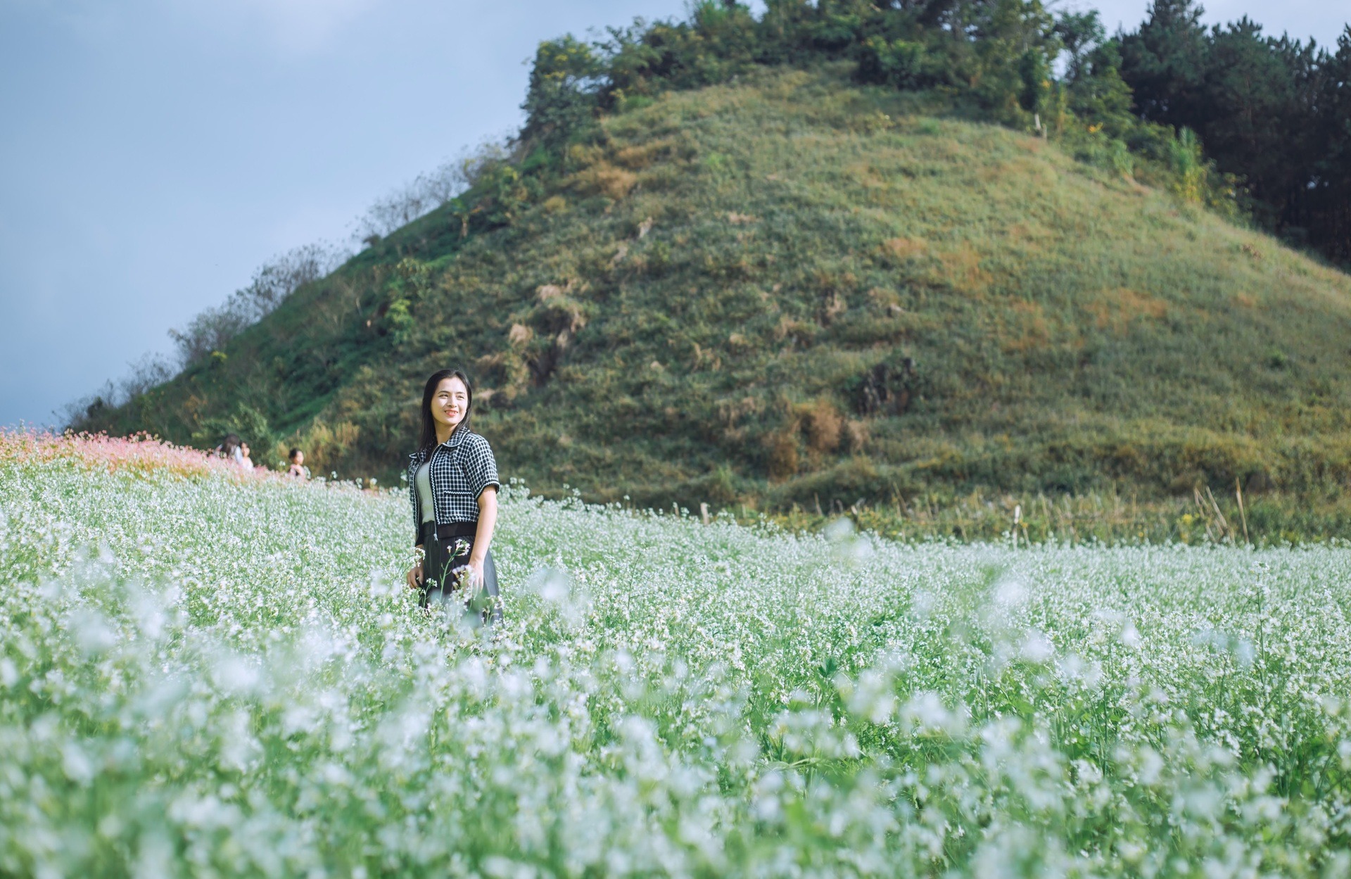 Bạt ngàn hoa cải trắng đẹp như tranh ở Mộc Châu, du khách đổ xô tới chụp ảnh- Ảnh 4.