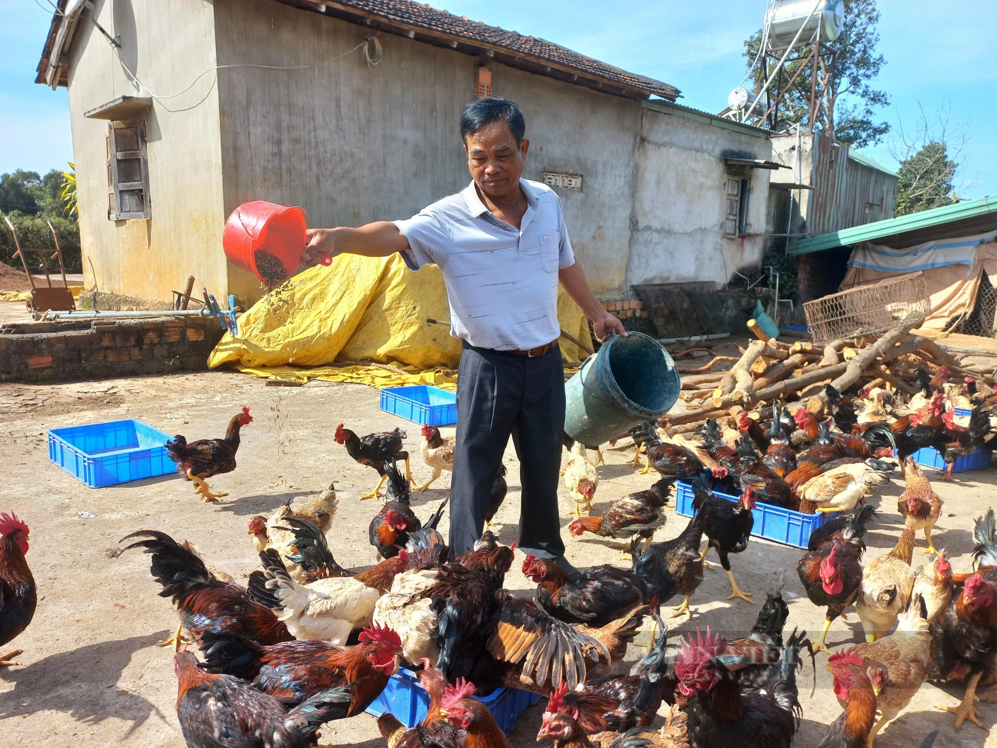Gia Lai: Cán bộ, hội viên nông dân thị xã Ayun Pa tham quan mô hình nuôi sâu canxi- Ảnh 3.