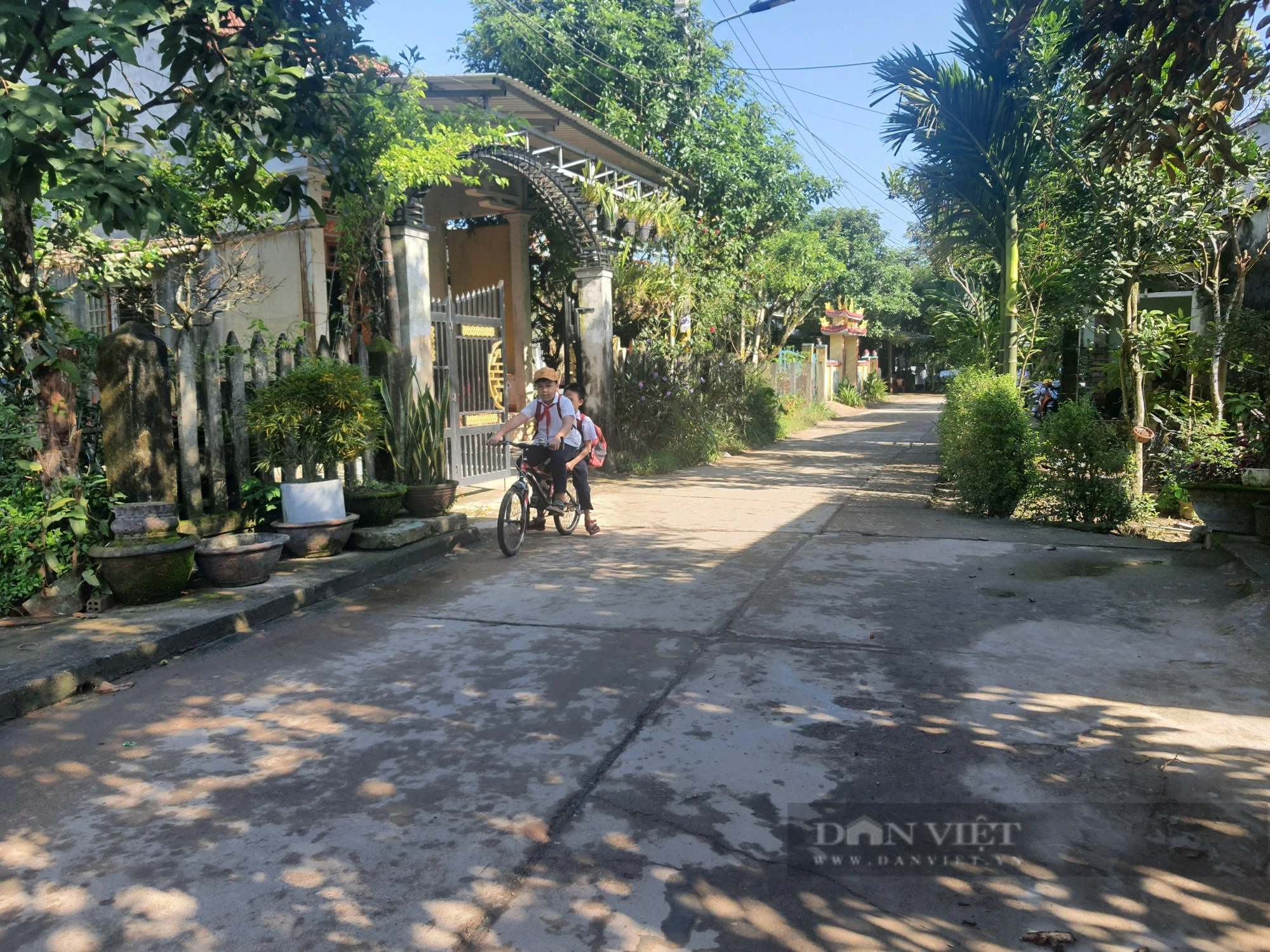 Quảng Nam: Xã Ninh Phước hoàn thành 19/19 xã nông thôn mới- Ảnh 4.