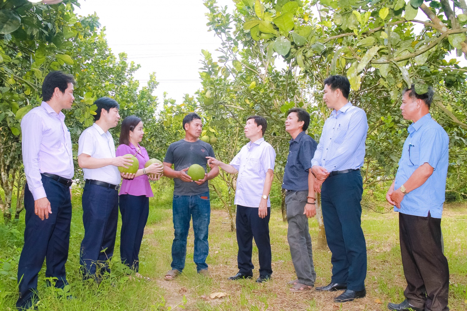 Chủ tịch Khánh Hòa Nguyễn Tấn Tuân: Nông dân cần đi thực tế học các mô hình hay- Ảnh 2.