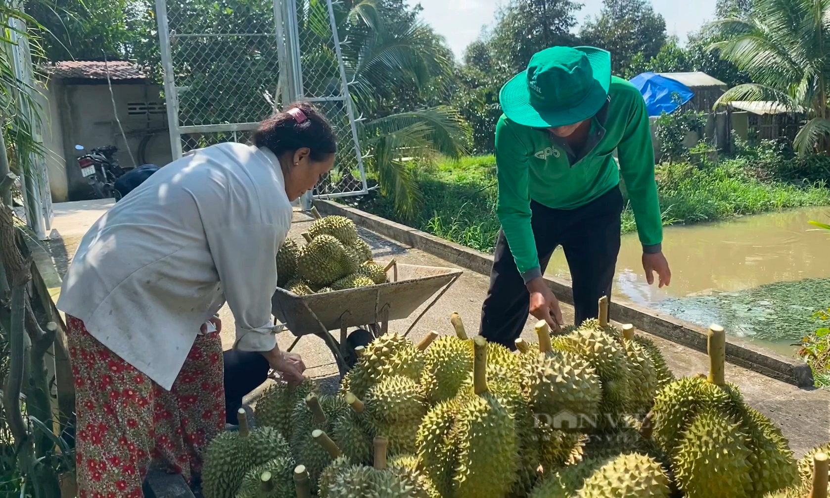 Giải pháp căn cơ để quả sầu kích cầu kinh tế nông nghiệp, nông thôn- Ảnh 12.