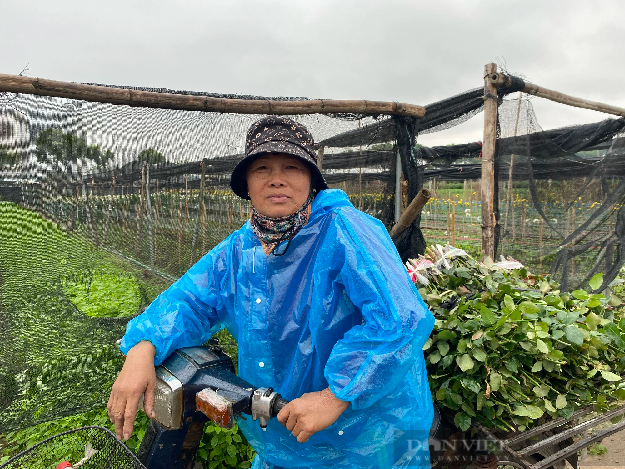 Làng hoa Tây Tựu mong được giá khi cận Tết Nguyên đán- Ảnh 3.